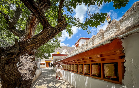 Manjushri Temple at Alchi